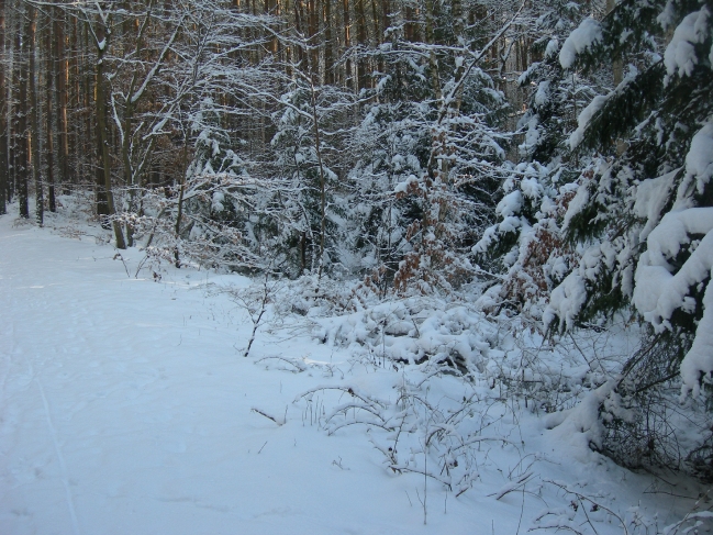 Winter 2009_4