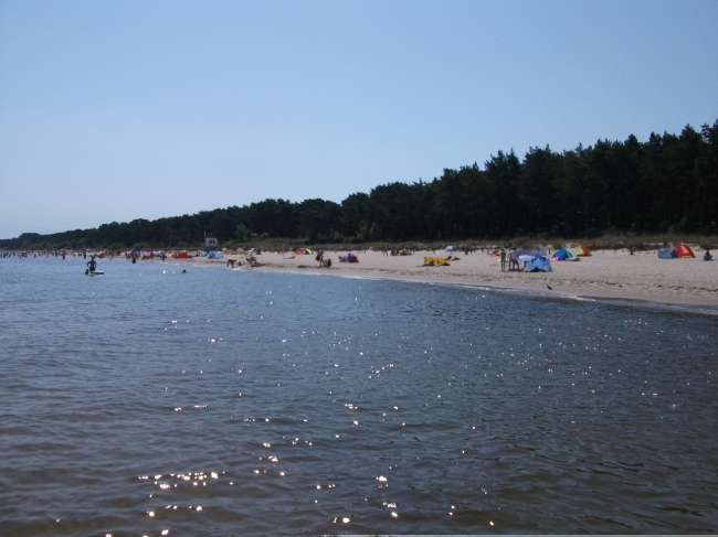 Fruehling 2010_1