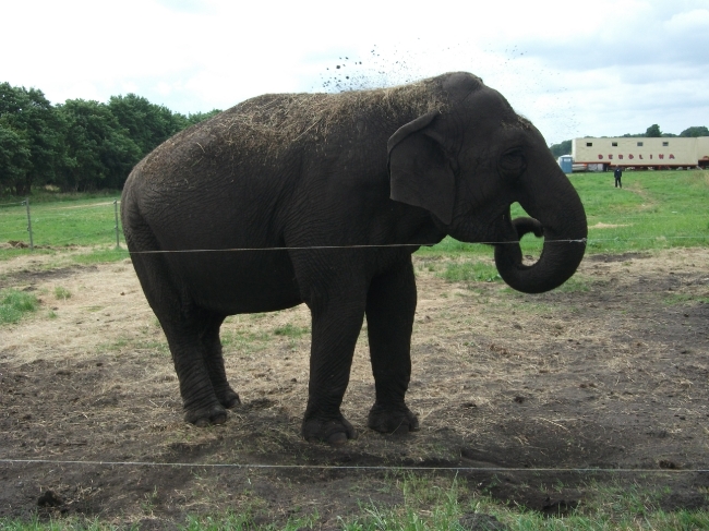 Fruehling 2010_2