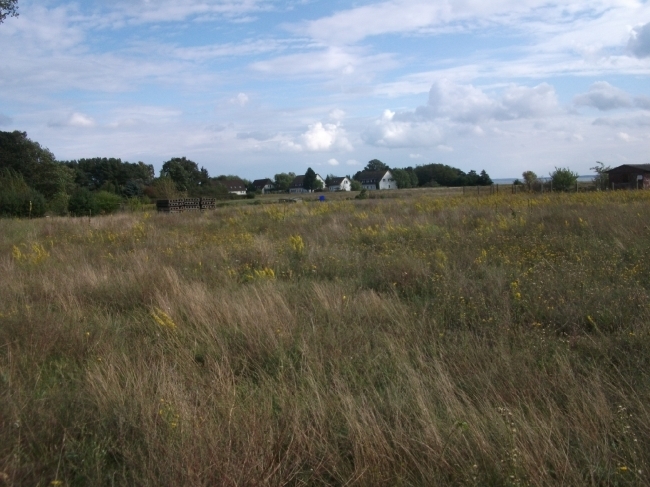 Herbst 2010_20