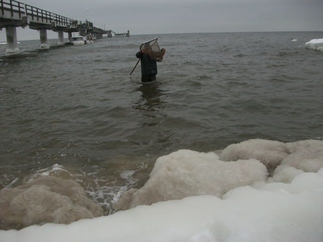 Winter 2011_2