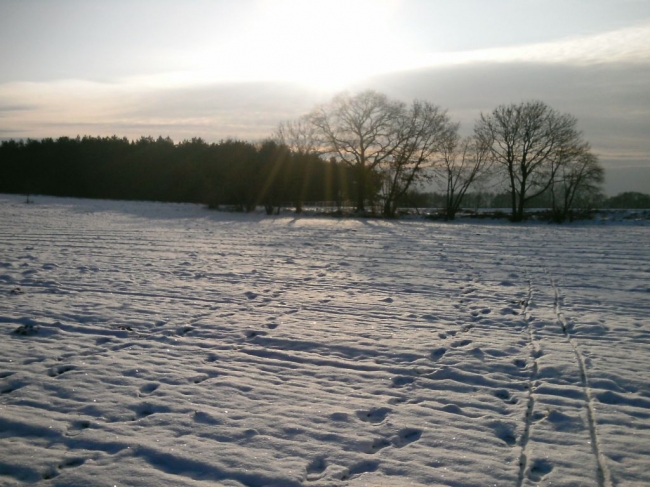 2013ZuU011_6