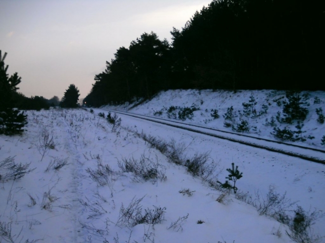 2013ZuU011_7