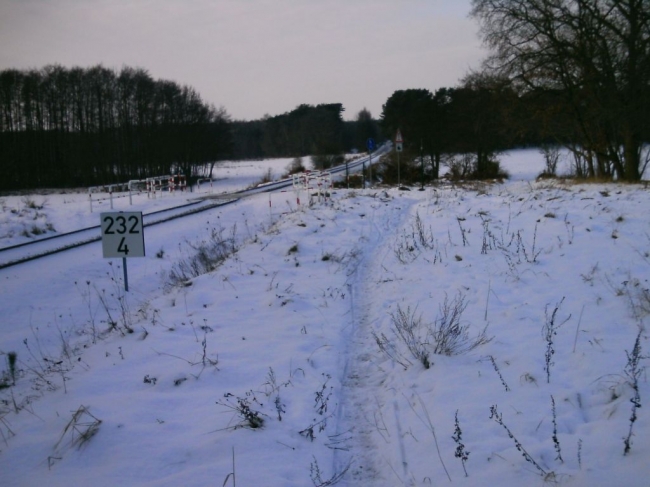 2013ZuU011_8