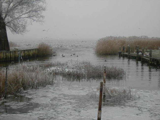 2007ZuU2_8