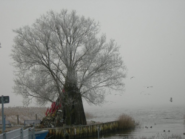 2007ZuU2_9