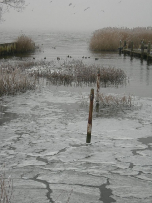 2007ZuU2_10