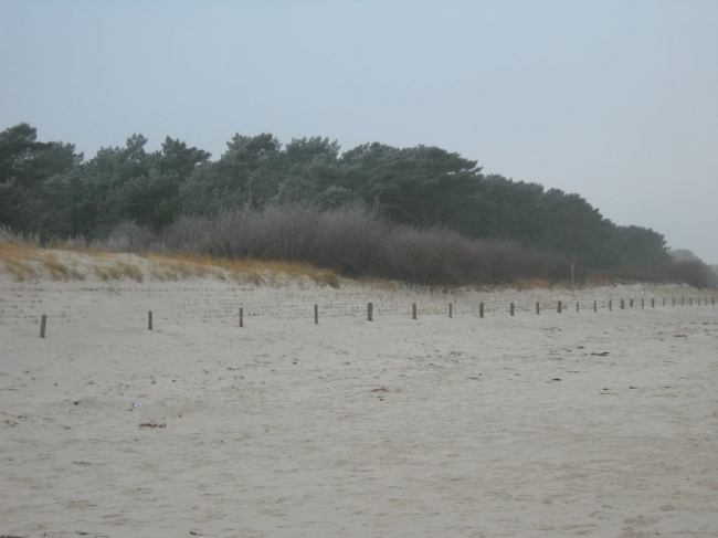 2007ZuU4_3