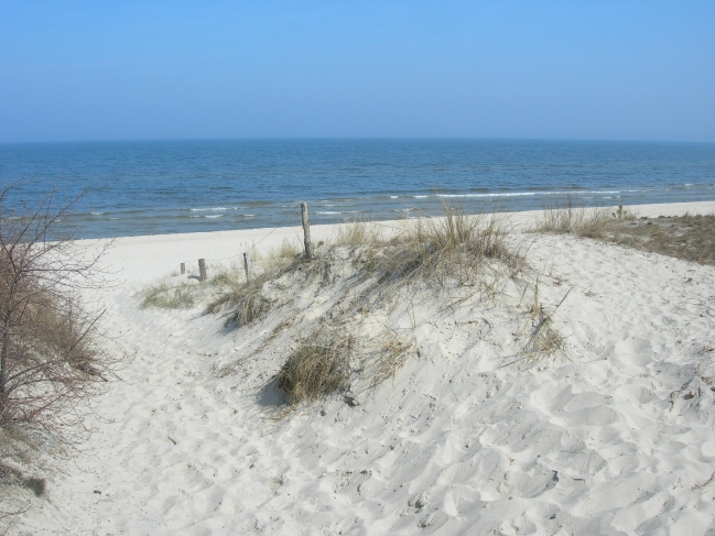 Fruehling 2009_4