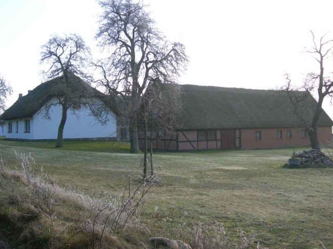 2007ZuU6_5