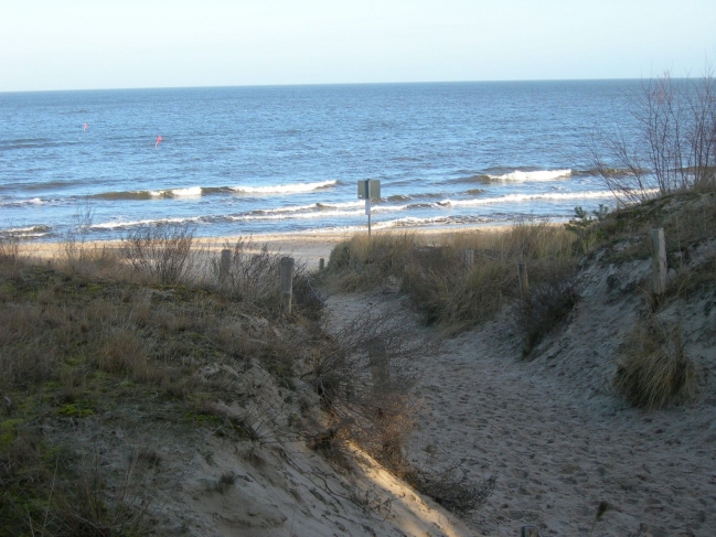 2008ZuU0_8