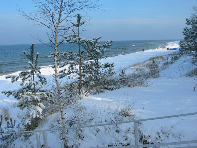 Winter 2009_3