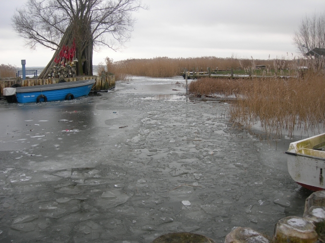 Winter 2009_5